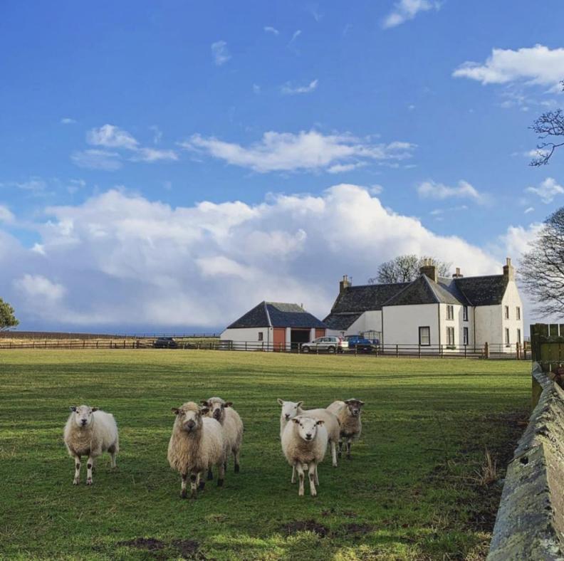 Bed and Breakfast Tarrel Farmhouse Portmahomack Exteriér fotografie